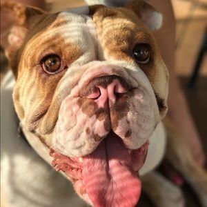 Meet your Posher, Luz